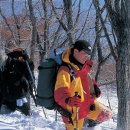 정선아리랑 조형물 이미지