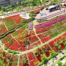 미사한강2호공원 이미지