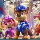 씨티퍼피 이미지