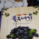 아영농장 이미지