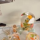 블루밍 플라워 앤 가든 이미지