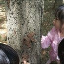 으뜸유치원 이미지