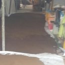 장학순농장 이미지