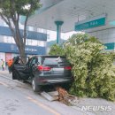 가로수주유소 이미지