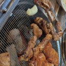 씽씽쏭쏭 이미지