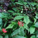 삼은농장 이미지