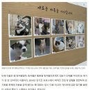 피터팬전자 이미지