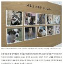 한겨레신문에 나온 팅커벨프로젝트와 LG전자 피터팬 봉사단 기사입니다. 이미지