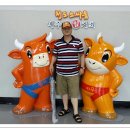 청도소싸움경기장 이미지