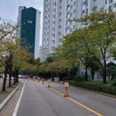 폴샤인헤어