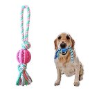 덴탈투유 이미지