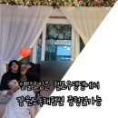 강원도횡성독채펜션 헬로우댕댕 : 안흥펜션 사람6 강아지6 중형견가능