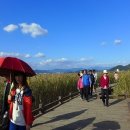 순천만풍경 이미지