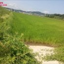 신령리신촌 이미지