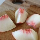 성화농장 이미지