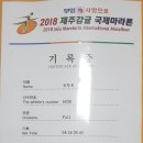 2023년 제주국제관광마라톤 대회 full 도전 후기 이미지