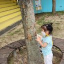 용화초등학교병설유치원 이미지