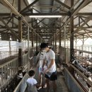 GOAT농장 이미지