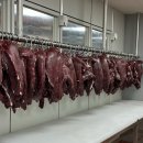 월곡로99길 이미지