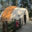 나오라쇼공연장(은주암화장실) | 원주 간현 소금산그랜드밸리 피톤치드 글램핑장 다녀온 솔직 후기 및 명당 사이트, 행사 정보 공유