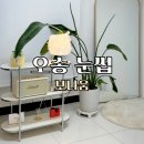 자연스러운 오송눈썹 완성 보니움 오송점 방문 후기