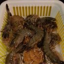 원항목 입구 | 통영 : 조개구이 바다가 들린다