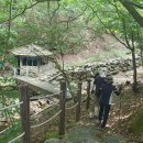 영산정기시장 | 양양 법수치계곡[2024.08.24]