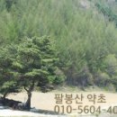 김행종의집 이미지