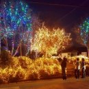 부산면 행정복지센터 이미지