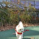 다니엘동물병원 이미지