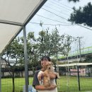 사단법인 선한영향력 | 유기견 봉사활동 후기