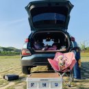 강나루체육공원 이미지