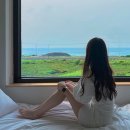 판포보름 이미지