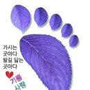 6월2일(일)숭이님들 출석하세용 이미지