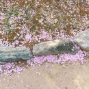 화원동산 동물원 이미지