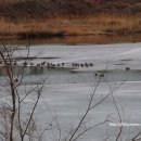 영신유원지 이미지