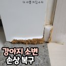 도화 두손지젤시티 | 오피스텔 강아지 소변으로 불어터진 하이그로시 몰딩 보수