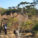 지리산 농장 이미지