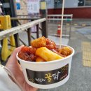 옥윤진의꿀닭 이미지
