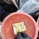 서남복사 이미지