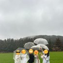 헬퍼훈스튜디오 | [결혼 준비]#3 제주웨딩스냅_(헬퍼훈 + 로브유)촬영후기📷