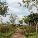 여울목수변공원 이미지