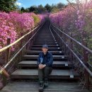 회원동149 | 창원 마산 무학산 등산코스, 진달래와 멋진 정상 경관, 백운사 최단코스 산행