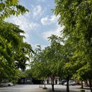 내리금봉캠핑장 이미지