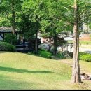 미끄라트 이미지