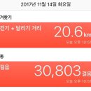 시드니 2박3일 자유여행 (첫째날/선샤인코스트에서 시드니)