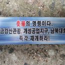 수색역.·여의도에 대남전단 수만 장-- 이미지