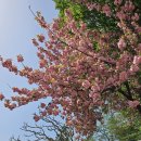 광주근교 애견동반글램핑, 장흥 땡땡이글램핑( 다견숙박가능♥ ), 한 달만에 재방문한 후기