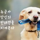 월