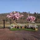 진천군 농다리 이미지